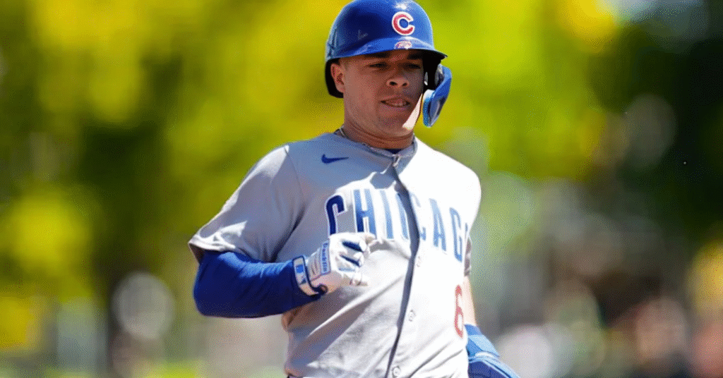 Matt Shaw Cubs fantasy