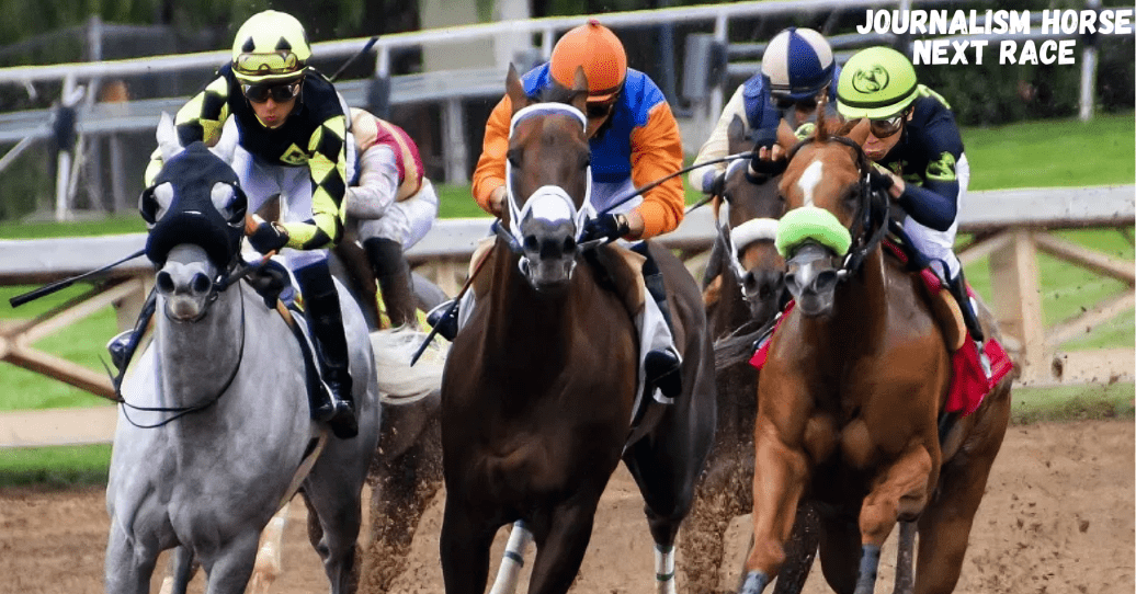 Journalism horse next race