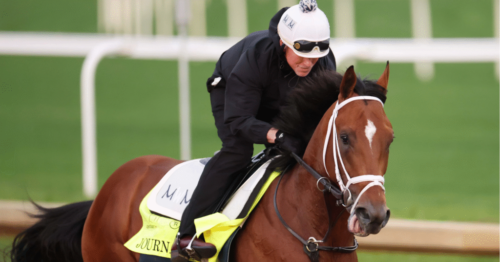 Journalism horse next race